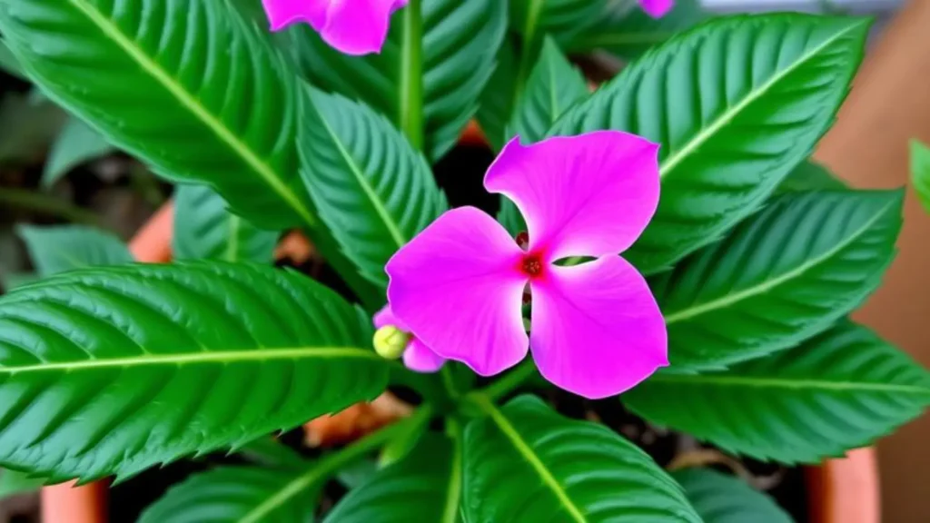 plant pick up lines