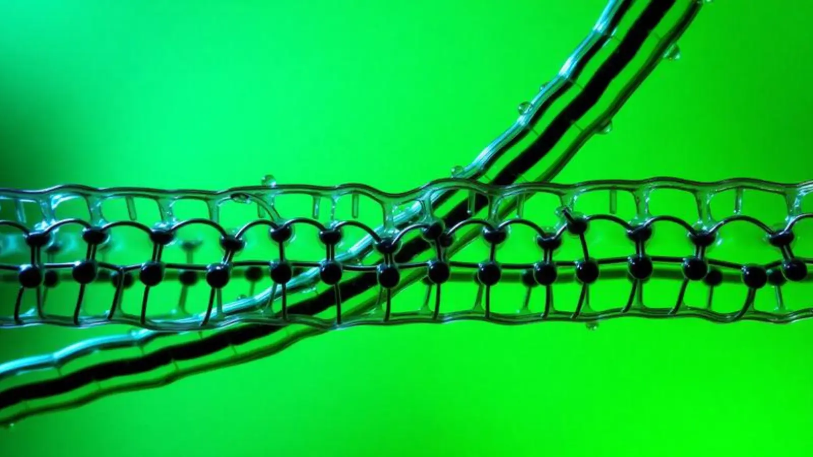 cell membrane pick up lines